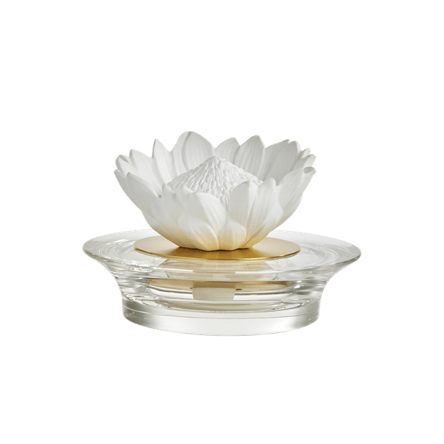 Difusor Protea
